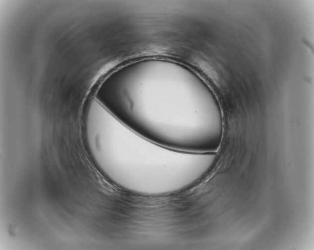 X0000099311308200805020723