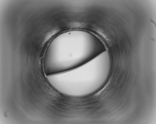 X0000099311309200805020723