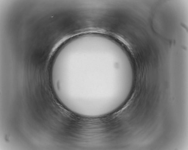 X0000099311310200805020723