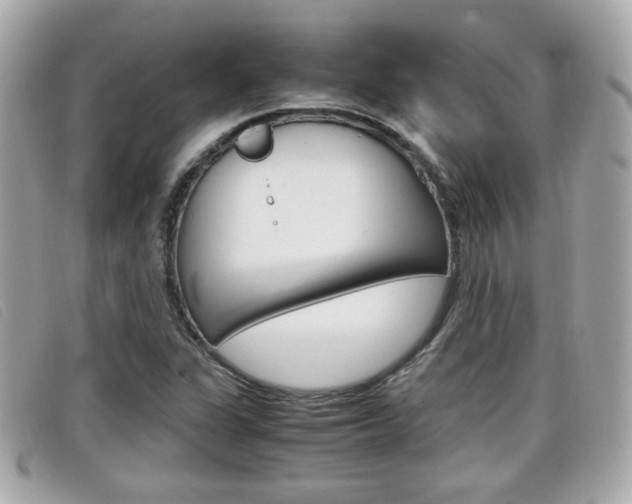 X0000099311311200805020723