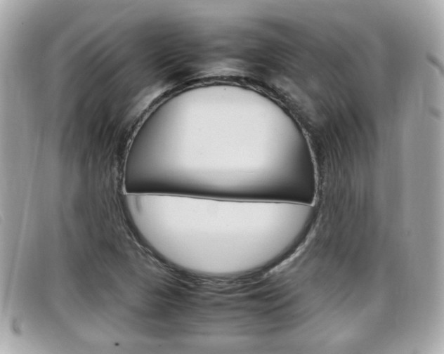 X0000099311313200805020723