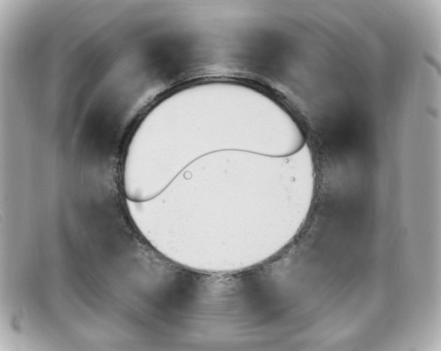 X0000099311314200805020723