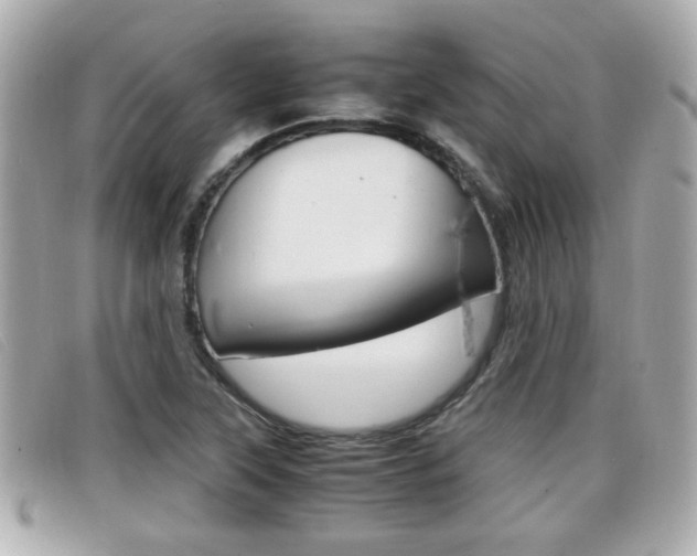 X0000099311315200805020723