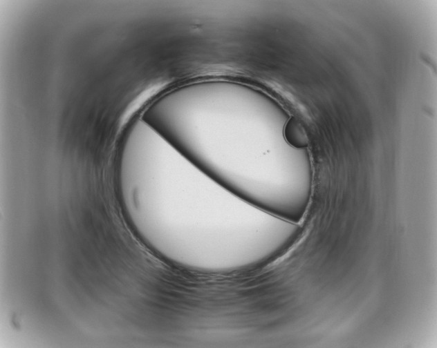 X0000099311317200805020723