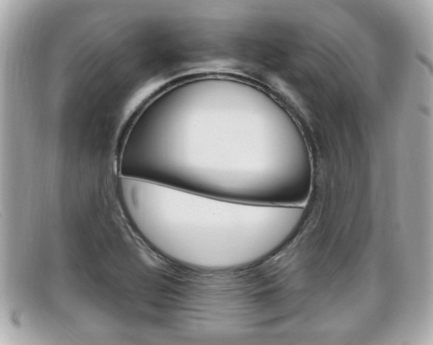 X0000099311320200805020724