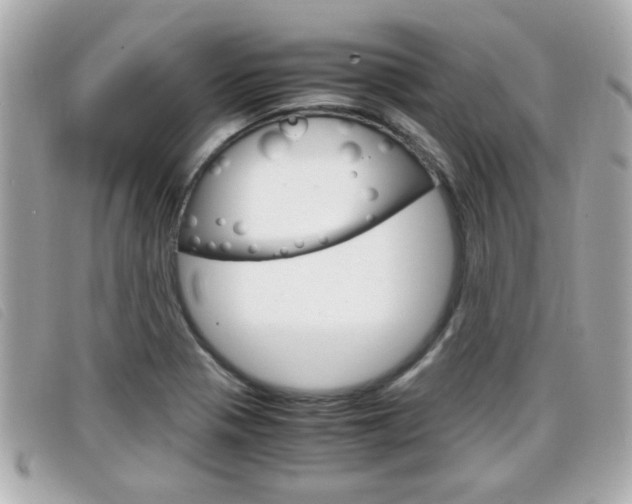 X0000099311321200805020724