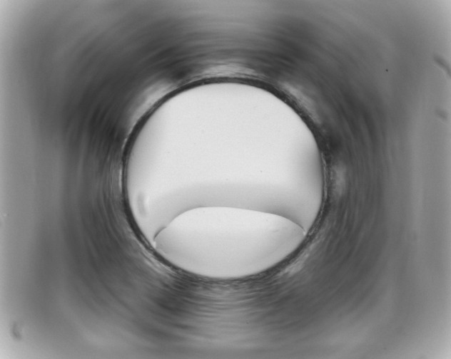X0000099311322200805020724