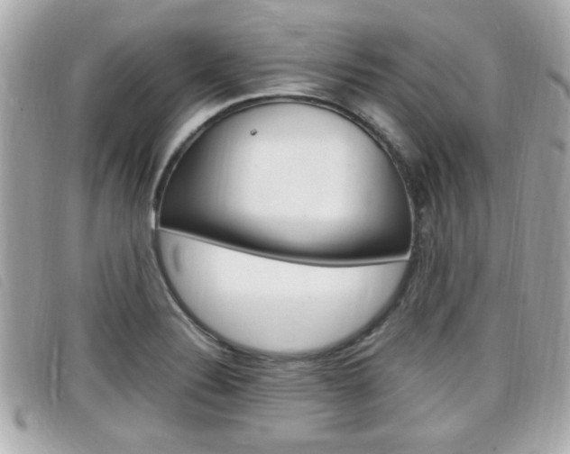X0000099311324200805020724