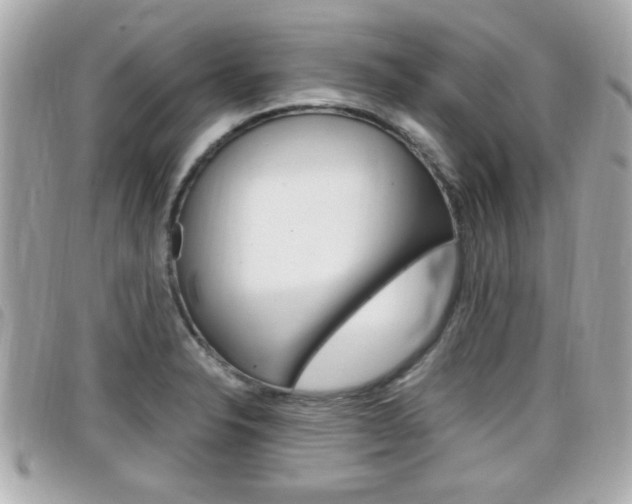 X0000099311326200805020724