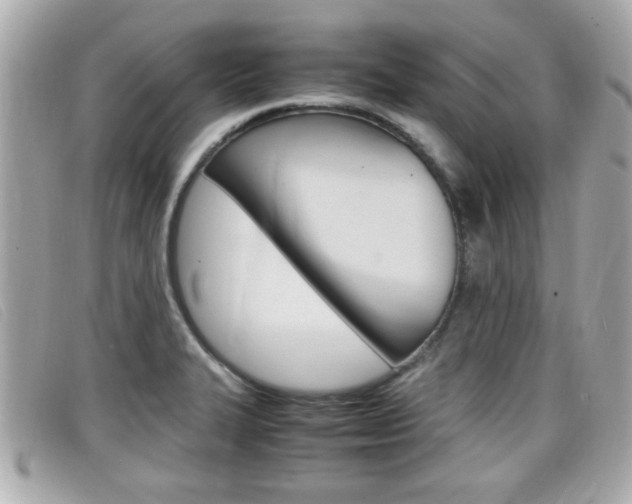 X0000099311327200805020724