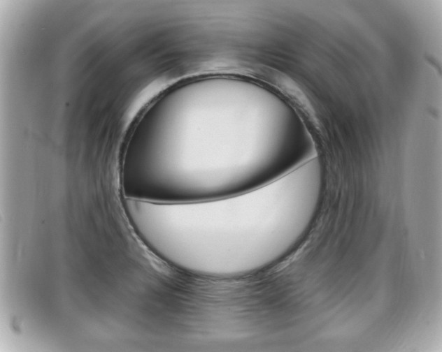 X0000099311328200805020724