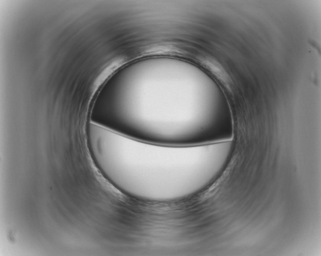 X0000099311330200805020724