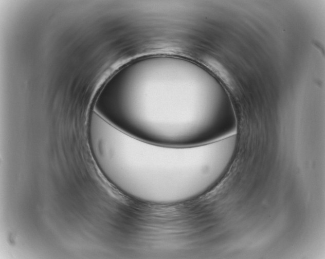 X0000099311332200805020724