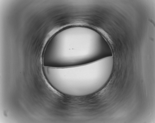 X0000099311335200805020724