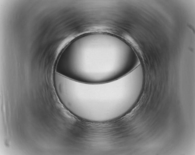 X0000099311336200805020724