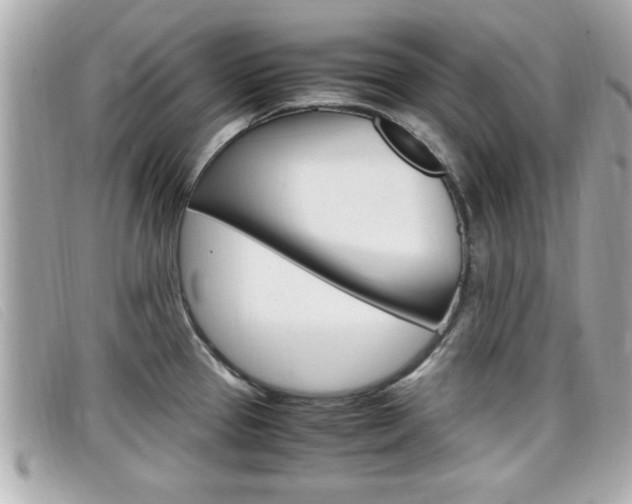 X0000099311337200805020724