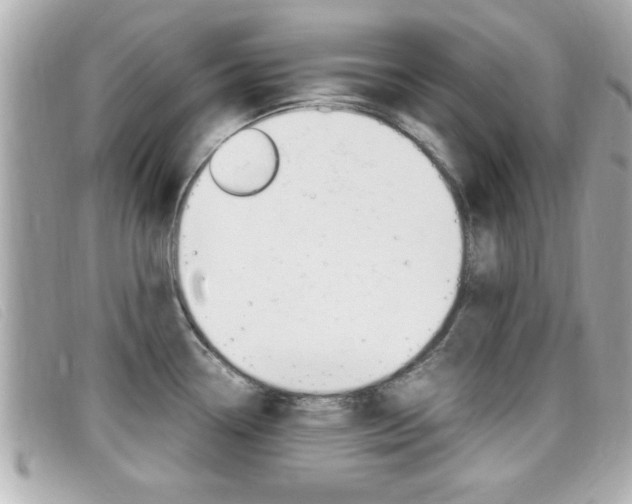 X0000099311338200805020724