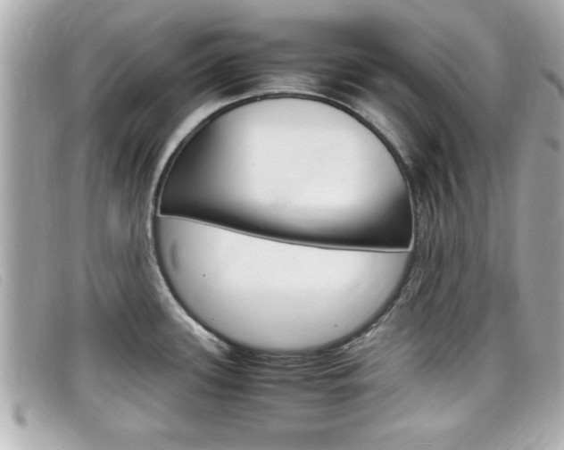 X0000099311339200805020724
