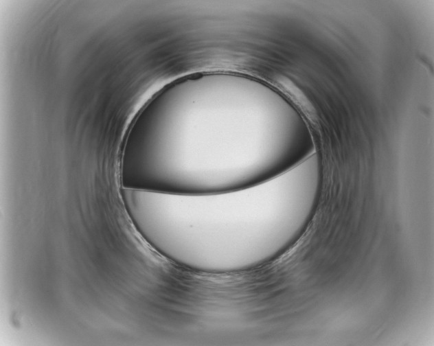 X0000099311340200805020724