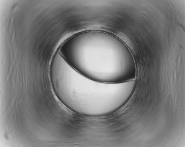 X0000099311342200805020724