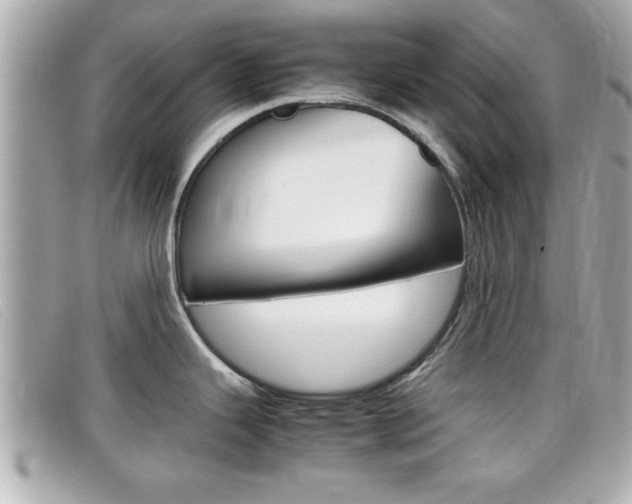 X0000099311343200805020724