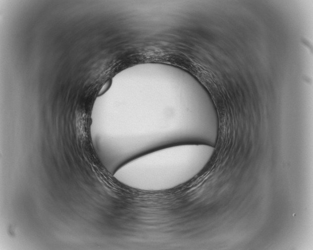 X0000099311346200805020723