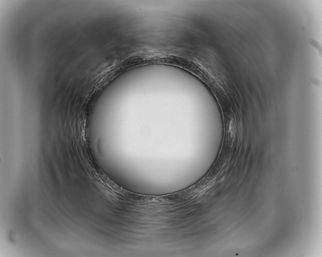 X0000099311348200805020723