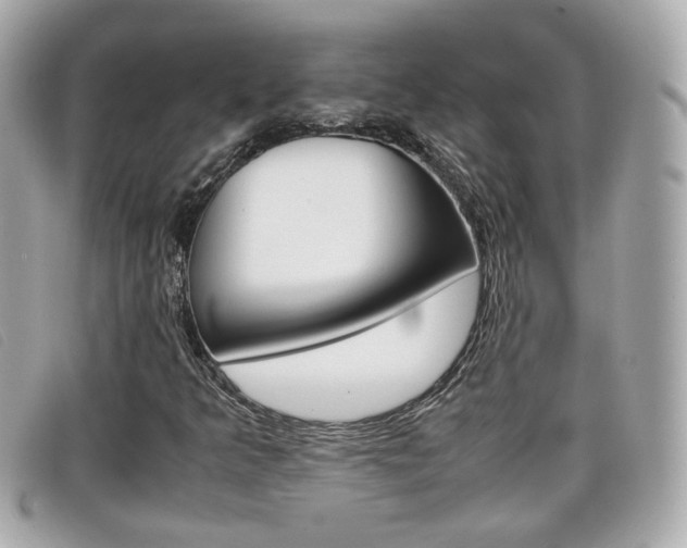 X0000099311349200805020723