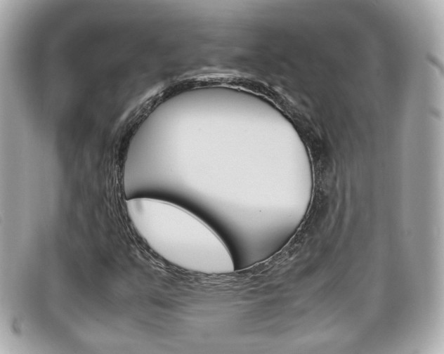 X0000099311351200805020723