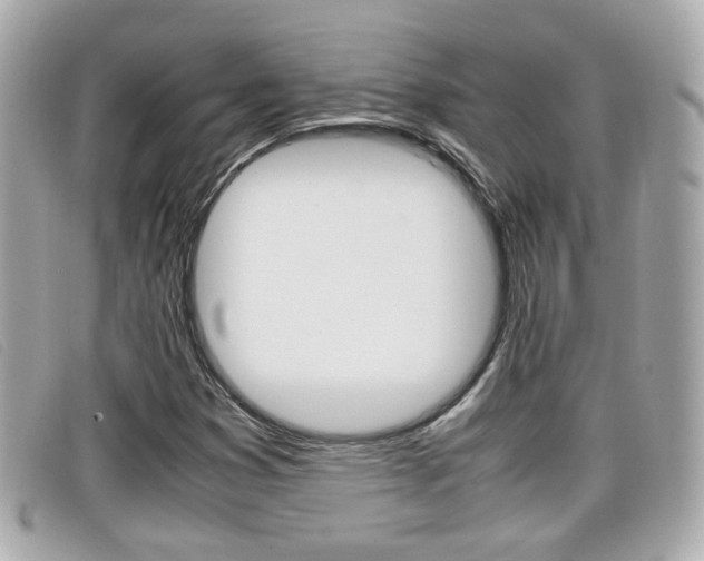 X0000099311353200805020723