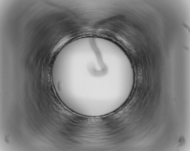 X0000099311354200805020723