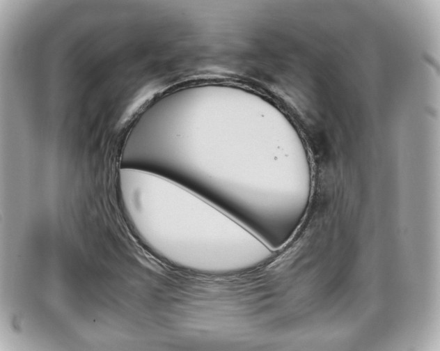 X0000099311355200805020723