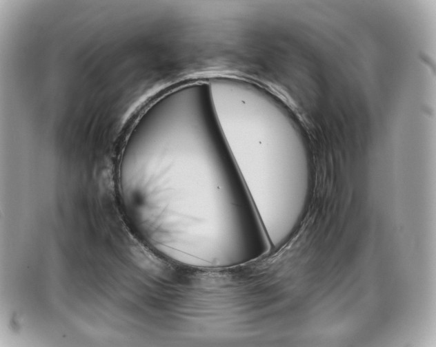 X0000099311356200805020723