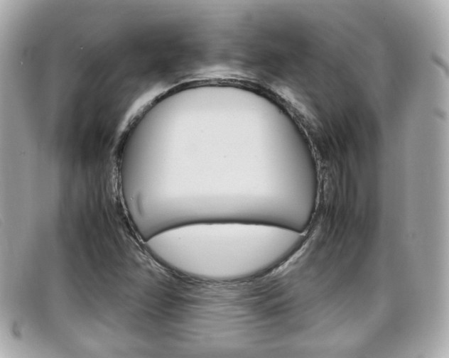 X0000099311358200805020723