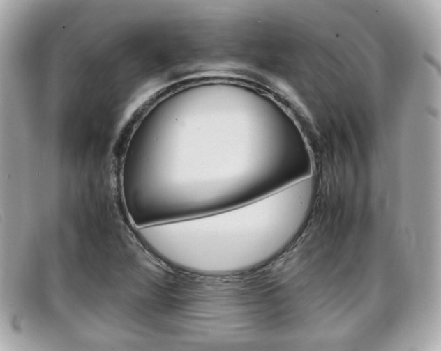 X0000099311360200805020723