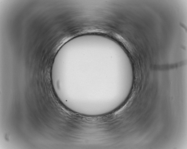 X0000099311361200805020723