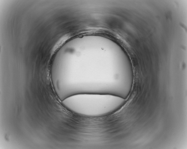 X0000099311362200805020723
