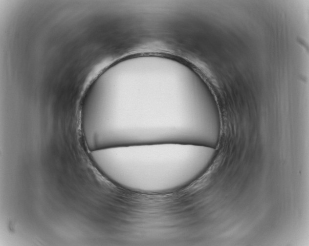X0000099311366200805020723