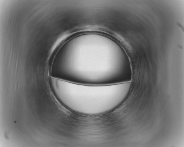 X0000099311368200805020723