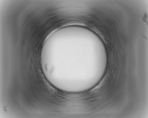 X0000099311369200805020723