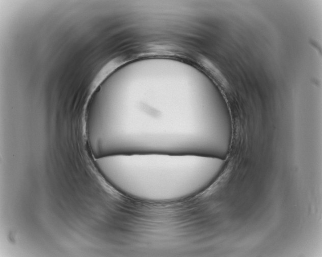 X0000099311370200805020723