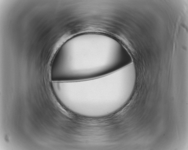 X0000099311371200805020723