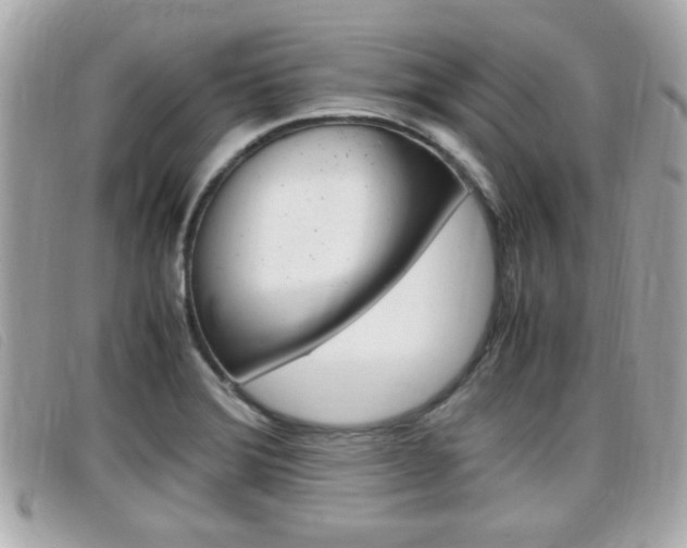 X0000099311372200805020723