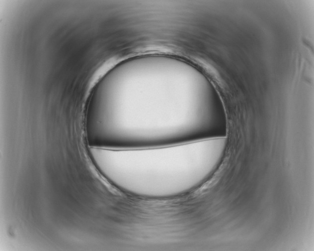 X0000099311373200805020723