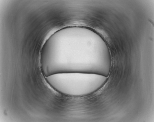 X0000099311374200805020723