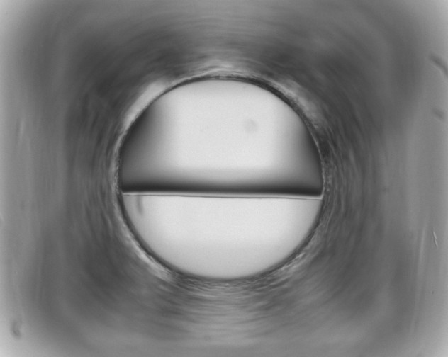 X0000099311375200805020723
