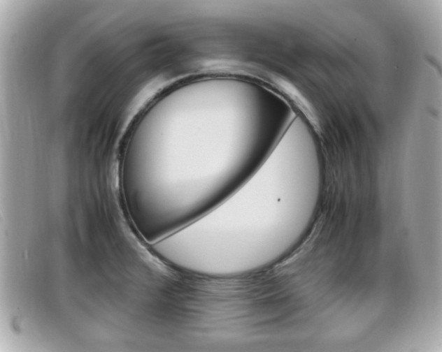 X0000099311376200805020723