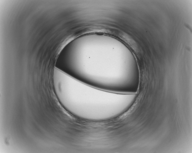 X0000099311377200805020723