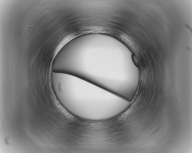 X0000099311378200805020723