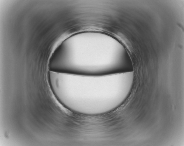 X0000099311379200805020723